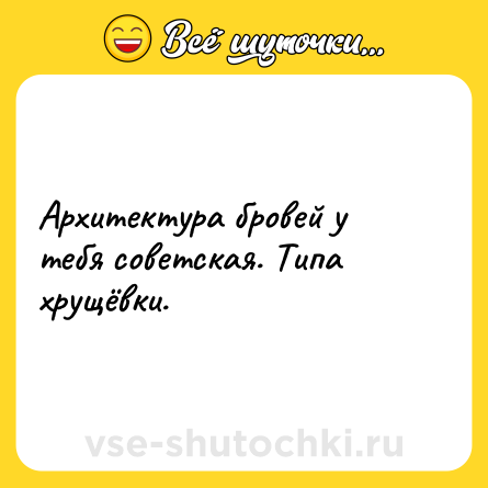 Шутка: Архитектура бровей у тебя советская. Типа хрущёвки.