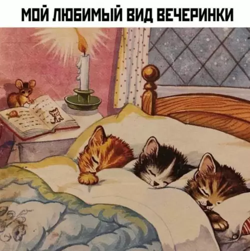 Смешная картинка №736173