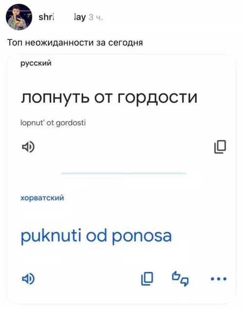 Смешная картинка №799312 Кажется, я знаю хорватский