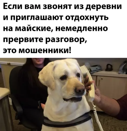 Смешная картинка №640845