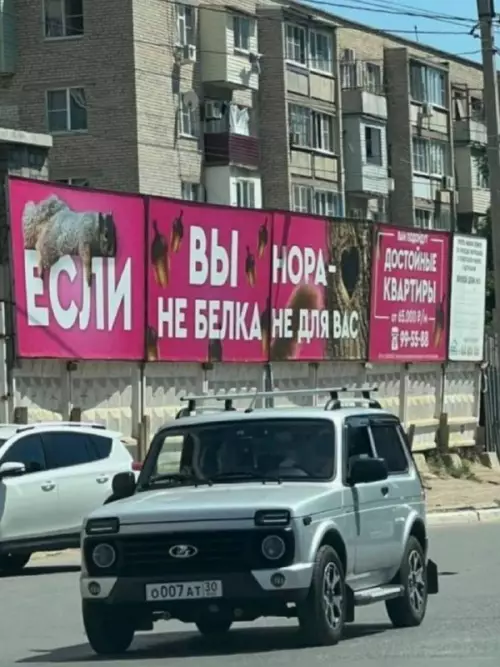Смешная картинка №661744 Если вы нора Вывески 
