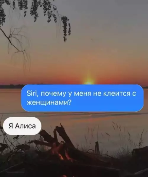 Смешная картинка №732268 Вот почему 