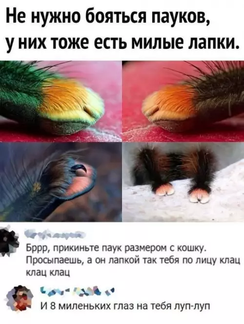 Смешная картинка №743933