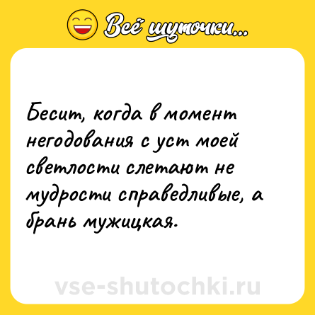 Шутка: Бесит, когда в момент негодования с уст моей светлости слетают не мудрости справедливые, а брань мужицкая.