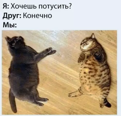 Смешная картинка №510868 Tyca для тex, кoмy зa 20