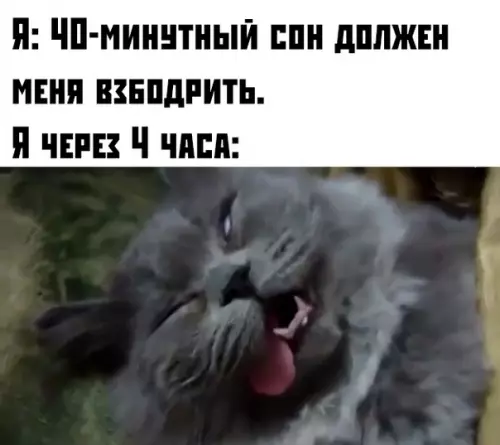 Смешная картинка №376256