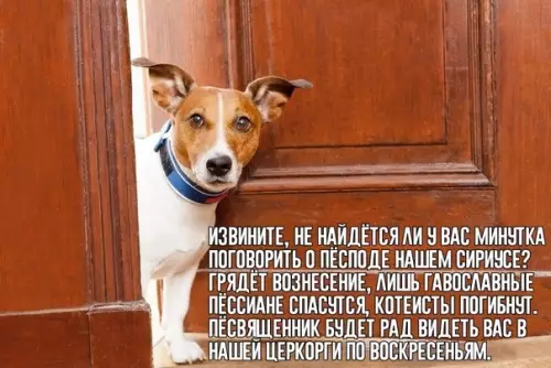 Смешная картинка №350727