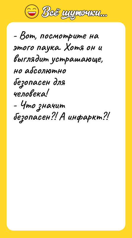 - Вот, посмотрите на этого паука. Хотя он и выглядит