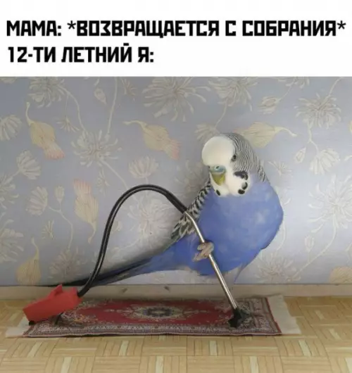 Смешная картинка №682636