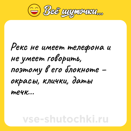 Шутка: Рекс не имеет телефона и не умеет говорить, поэтому в его блокноте – окрасы, клички, даты течк…