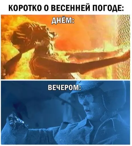 Смешная картинка №266025