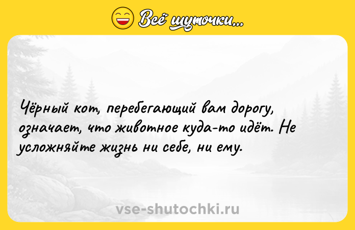 Цитата: Чёрный кот, перебегающий вам дорогу, означает, что животное куда-то идёт. Не усложняйте жизнь ни себе, ни ему.