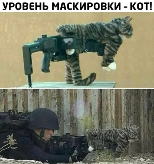 Смешная картинка №508725