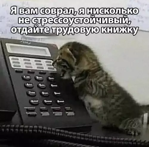 Смешная картинка №691652 работа