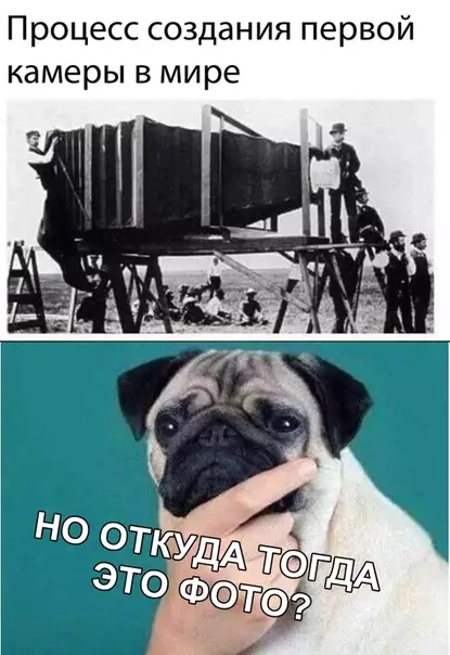 Смешная картинка №317160