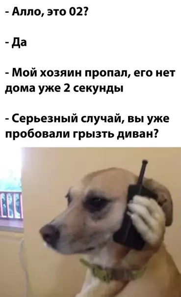 Смешная картинка №549515