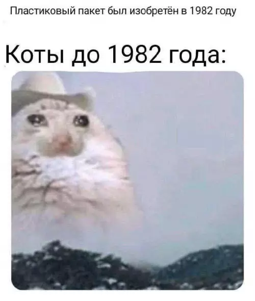 Смешная картинка №685409