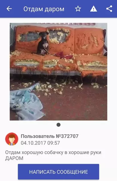 Смешная картинка №308125