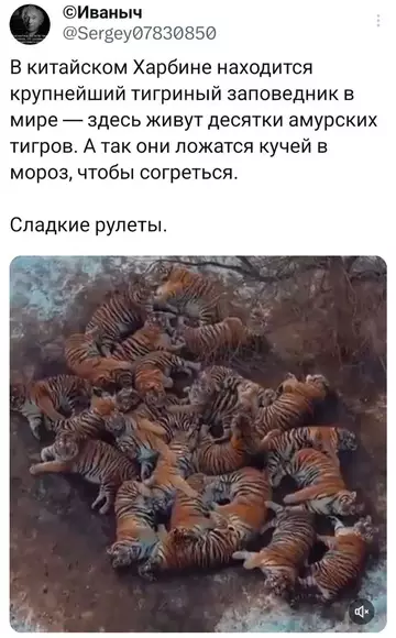 Смешная картинка №770074