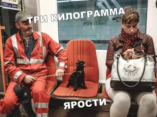 Смешная картинка №406829