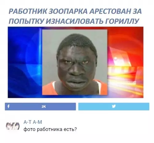 Смешная картинка №376394