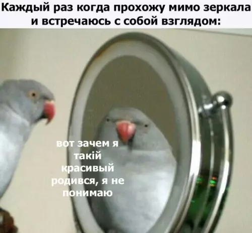 Смешная картинка №280629