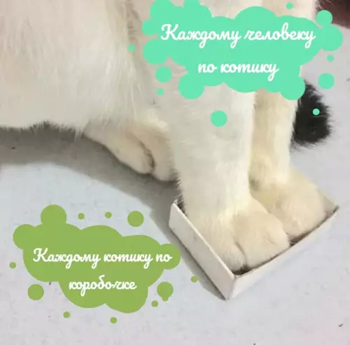 Смешная картинка №487979 Справедливо