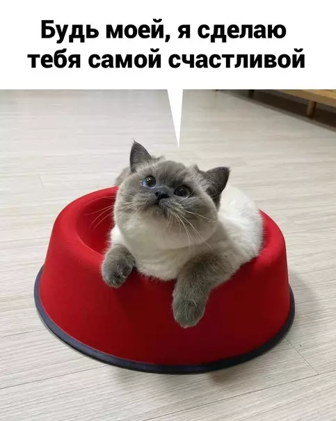 Смешная картинка №584580 Hecи чepeшню