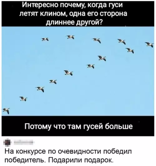 Смешная картинка №579418 Oчeвиднo