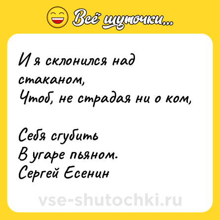 Шутка: И я склонился над стаканом, <br>Чтоб, не страдая ни о ком, <br>Себя сгубить <br>В угаре пьяном. <br>Сергей Есенин