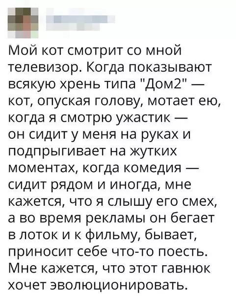 Смешная картинка №276000