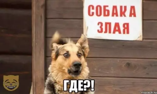 Смешная картинка №324480