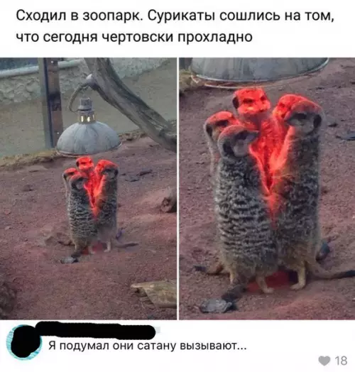 Смешная картинка №259606