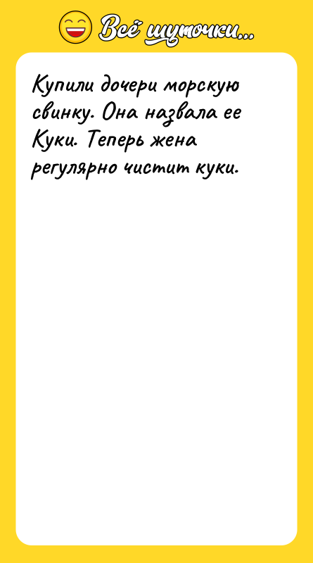 Купили дочери морскую свинку. Она назвала ее Куки. Теперь жена