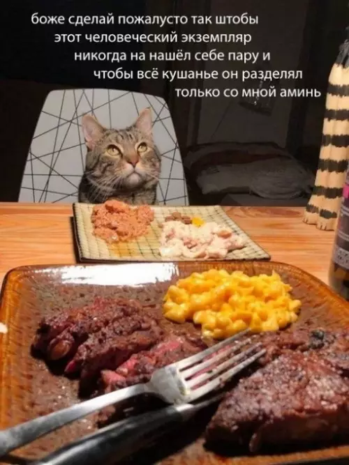 Смешная картинка №702077