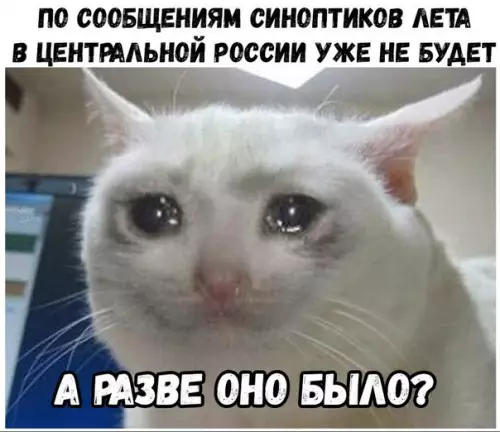 Смешная картинка №193534