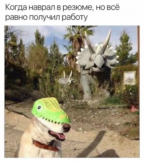 Смешная картинка №280244