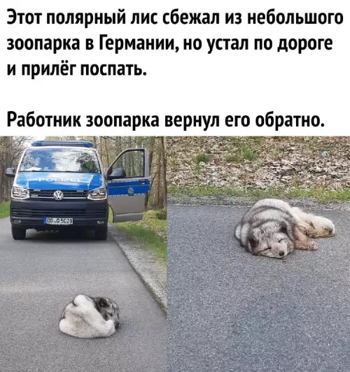 Смешная картинка №682413