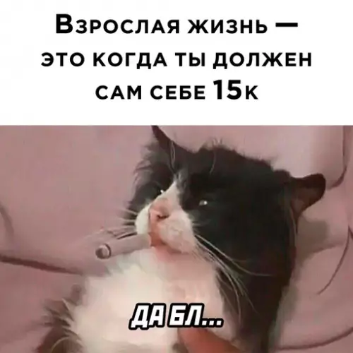 Смешная картинка №665628
