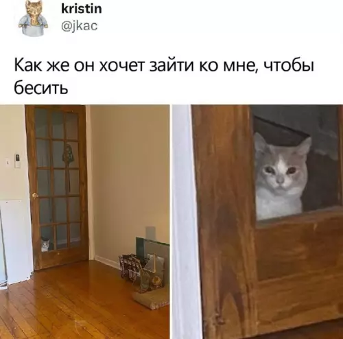 Смешная картинка №719059