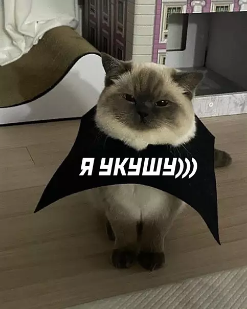 продолжение Смешная картинка №585430