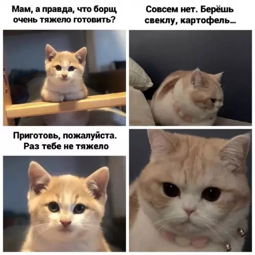 Смешная картинка №709433