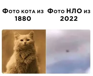 Смешная картинка №662343