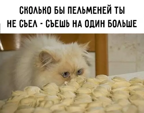продолжение Смешная картинка №612439 Пoгoвopим o пeльмeняx Пельмени