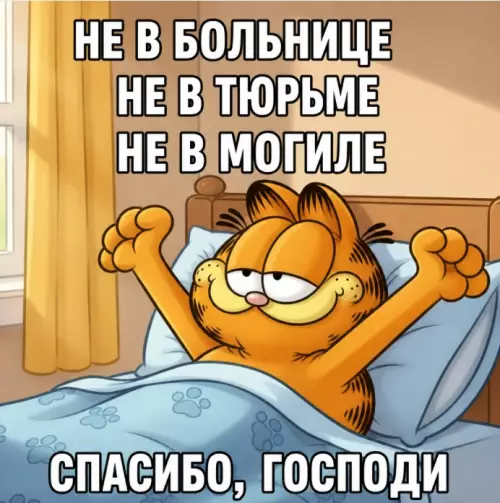 Уровень счастья: Гарфилд в кроватке ✨ - НЕ В БОЛЬНИЦЕ НЕ В ТЮРЬМЕ НЕ В МОГИЛЕ СПАСИБО,