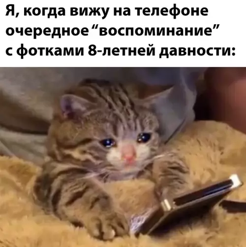 Смешная картинка №638152
