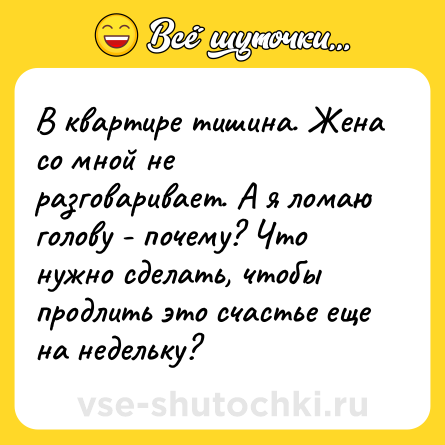 Шутка: В квартире тишина. Жена со мной не разговаривает. А я ломаю голову - почему? Что нужно сделать, чтобы продлить это счастье еще на недельку?
