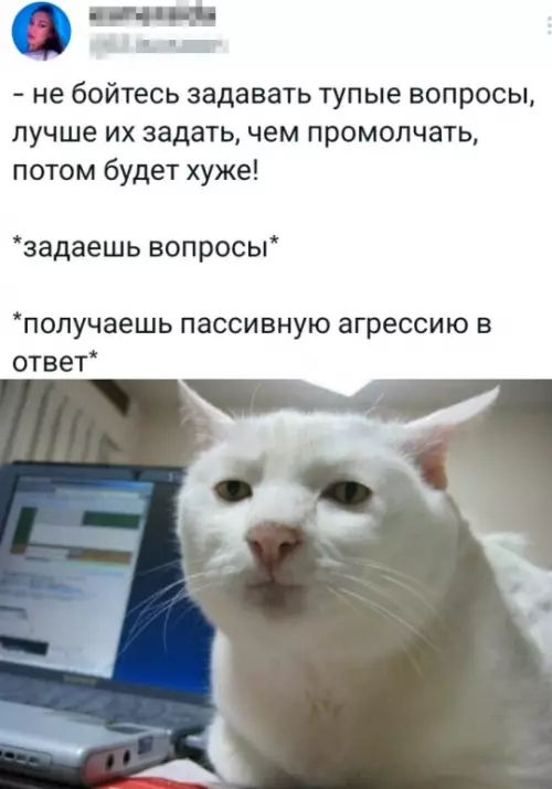 Смешная картинка №803418