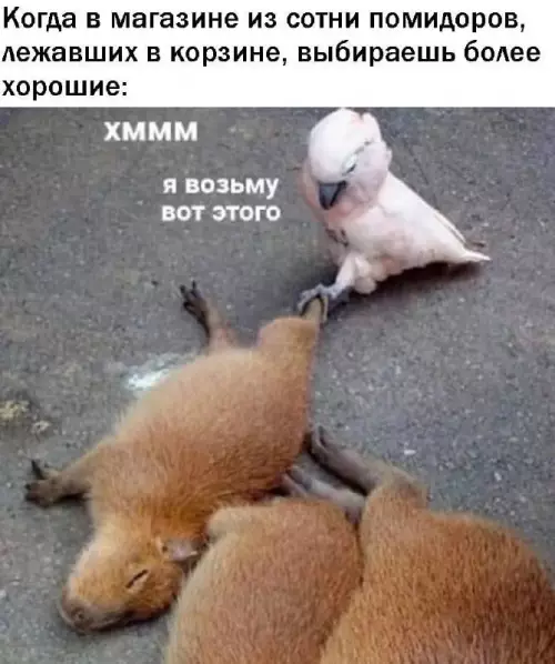 Смешная картинка №702196