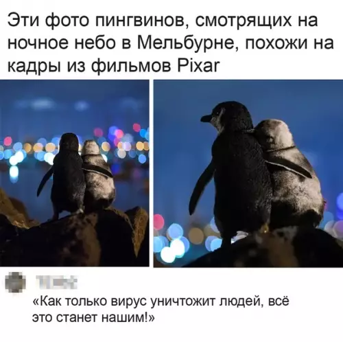 Смешная картинка №489214 Как они прекрасны!
